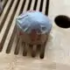 міні туо ча шу пуер